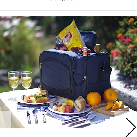 🌸💦 🧺 WaterProof Picnic Time Malibu Insulated Picnic Cooler 🧺💦🌸 - Picture 16 of 16